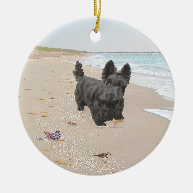 Beach Day Ceramic Ornament (Front)