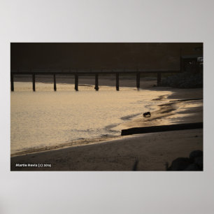 Beach Dog at Sunset Poster