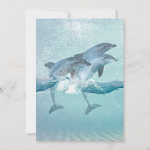 Beach Dolphins Nautical Watercolor Card