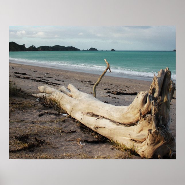 beach driftwood photo art poster (Front)
