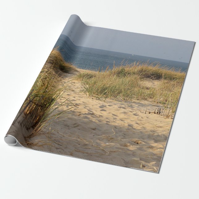 Beach fence in the sand dunes wrapping paper (Unrolled)