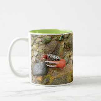 Beach Fiddler crab Two-Tone Coffee Mug
