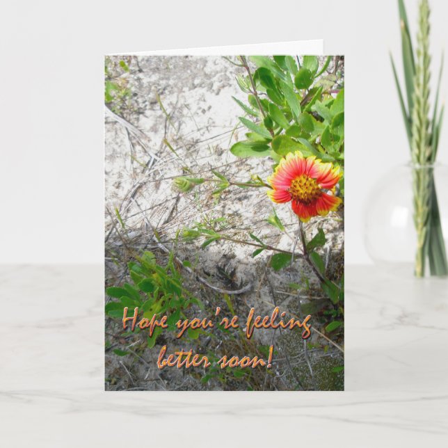 Beach Flower Get Well Card (Front)