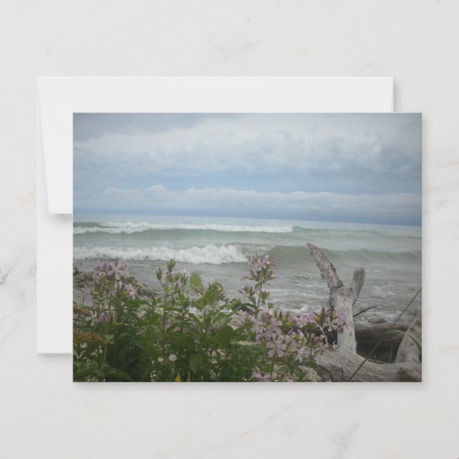Beach Flowers (Front)
