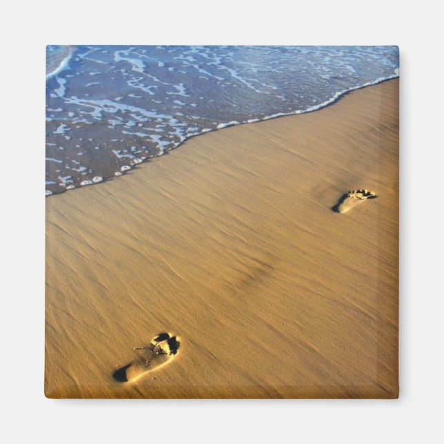 Beach Footsteps Magnet (Front)