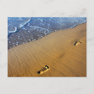 Beach Footsteps Postcard