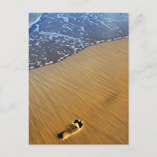 Beach Footsteps Postcard (Front)