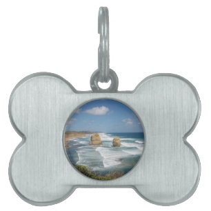 Beach Glow Pet Name Tag