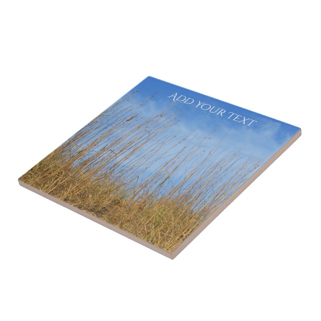 Beach Grass by Shirley Taylor Ceramic Tile (Side)