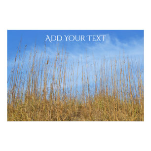 Beach Grass by Shirley Taylor Photo Print