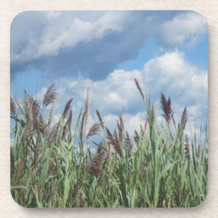 Beach Grass Coaster