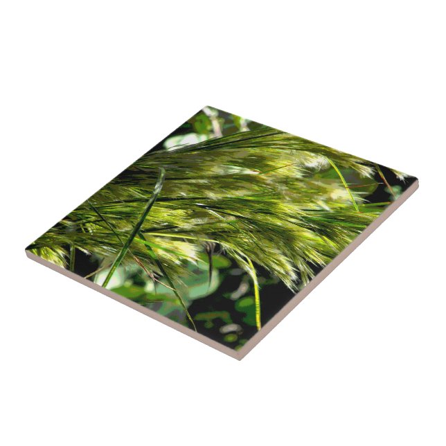 Beach Grass in the Breeze Ceramic Tile (Side)