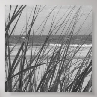 BEACH GRASS POSTER