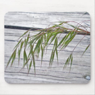 Beach Grass Seeds at IBSP Mousepad