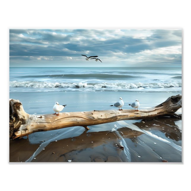 Beach Gulls Photo Print (Front)