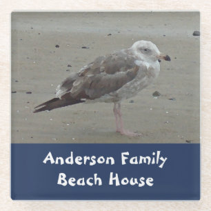 Beach House Family Name Artistic Sea Bird Seagull Glass Coaster