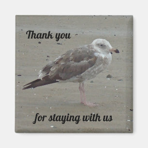 Beach House Rental Unique Seagull Guest Thank You Magnet