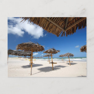 Beach Huts Brazil Postcard