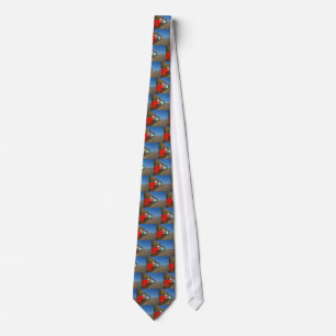Beach huts tie