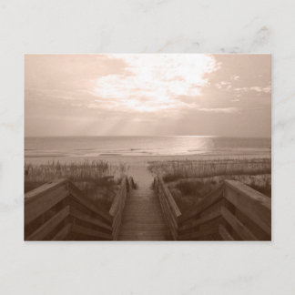 Beach in Florida Postcard