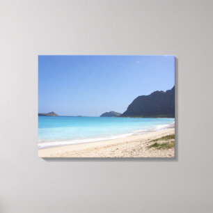 Beach in Hawaii Canvas Print