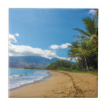 Beach in Hawaii Tile<br><div class="desc">Gorgeous beach on Maui in Hawaii.</div>