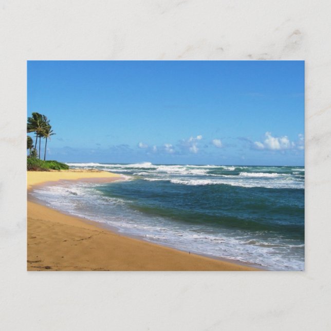 Beach in Kauai Postcard (Front)