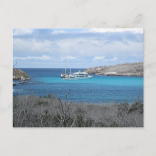 Beach in the Galapagos Islands Postcard