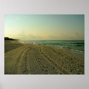 Beach in the Morning Poster