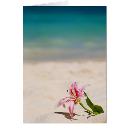 Beach Lily Card