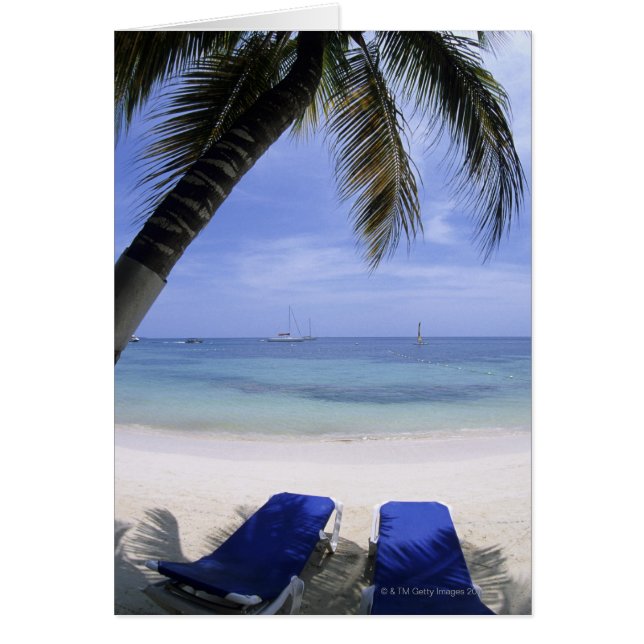 Beach, Lounge Chair, Palm tree, Horizon Over (Front)