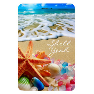 Beach Magnet with Seashells and Sea glass 