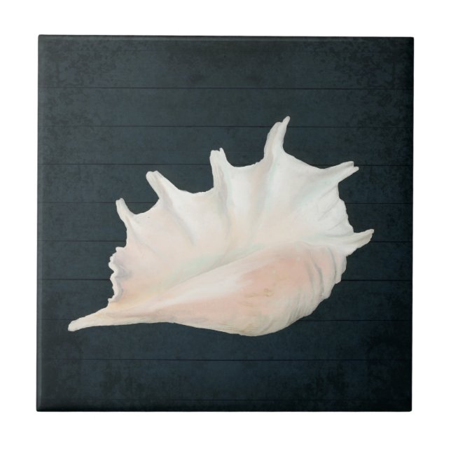 Beach Nautic Seashell Conch Tropical Navy Wood Ceramic Tile (Front)