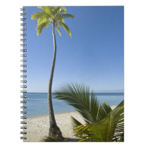 Beach on mainland Aitutaki, Cook Islands Notebook