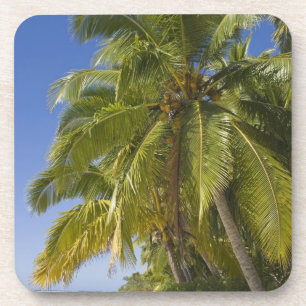 Beach on One Foot island, Aitutaki, Cook Islands Coaster