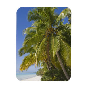 Beach on One Foot island, Aitutaki, Cook Islands Magnet