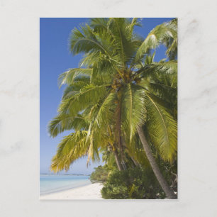 Beach on One Foot island, Aitutaki, Cook Islands Postcard