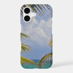 Beach Palm Framed