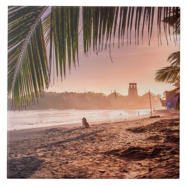 Beach Palm Tree Calm Sunset Ceramic Tile (Front)