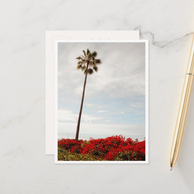 Beach Palm Tree Colourful Spring Floral Los Angele Postcard (Front/Back In Situ)