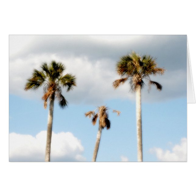 Beach Palm Trees (Front Horizontal)