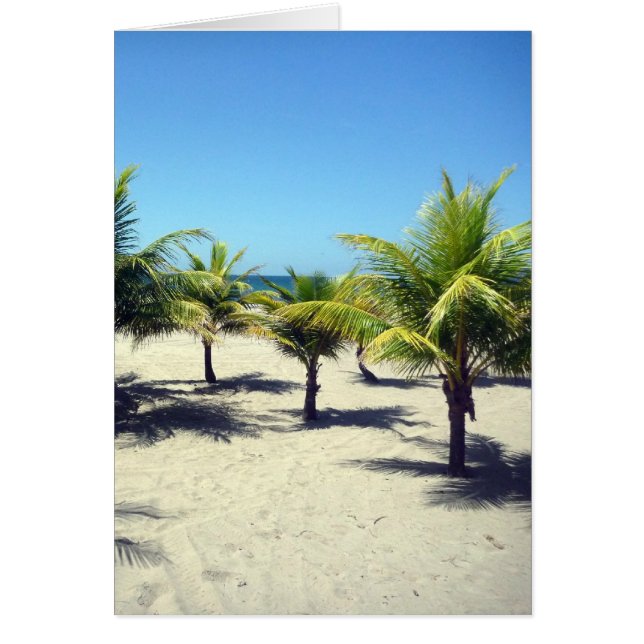 beach palm trees (Front)