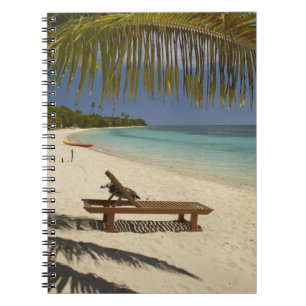 Beach, palm trees & lounger notebook
