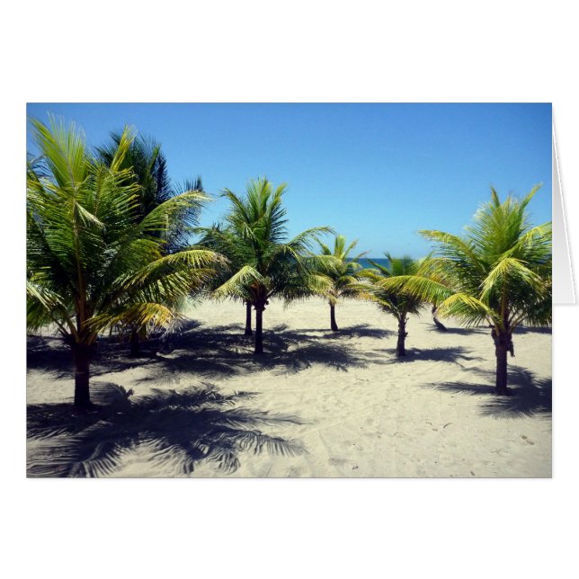 beach palms (Front Horizontal)