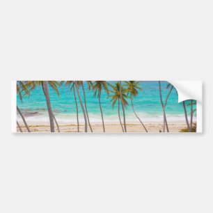 Beach Palms Bumper Sticker