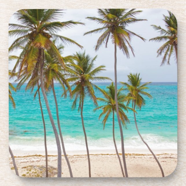 Beach Palms Coaster (Front)