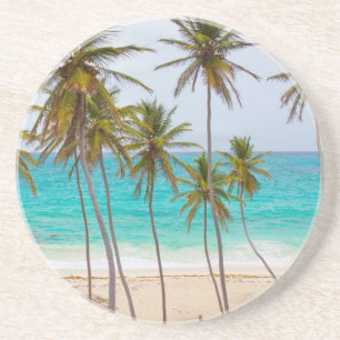 Beach Palms Coaster