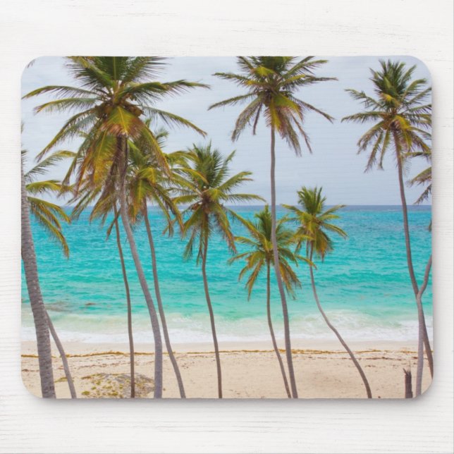 Beach Palms Mouse Pad (Front)