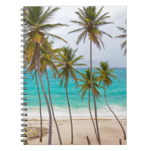 Beach Palms Notebook