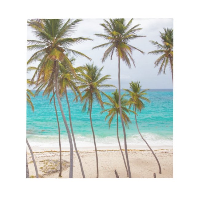 Beach Palms Notepad (Front)